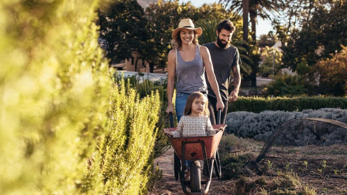 Thinking of a tree change? You might find more affordable homes